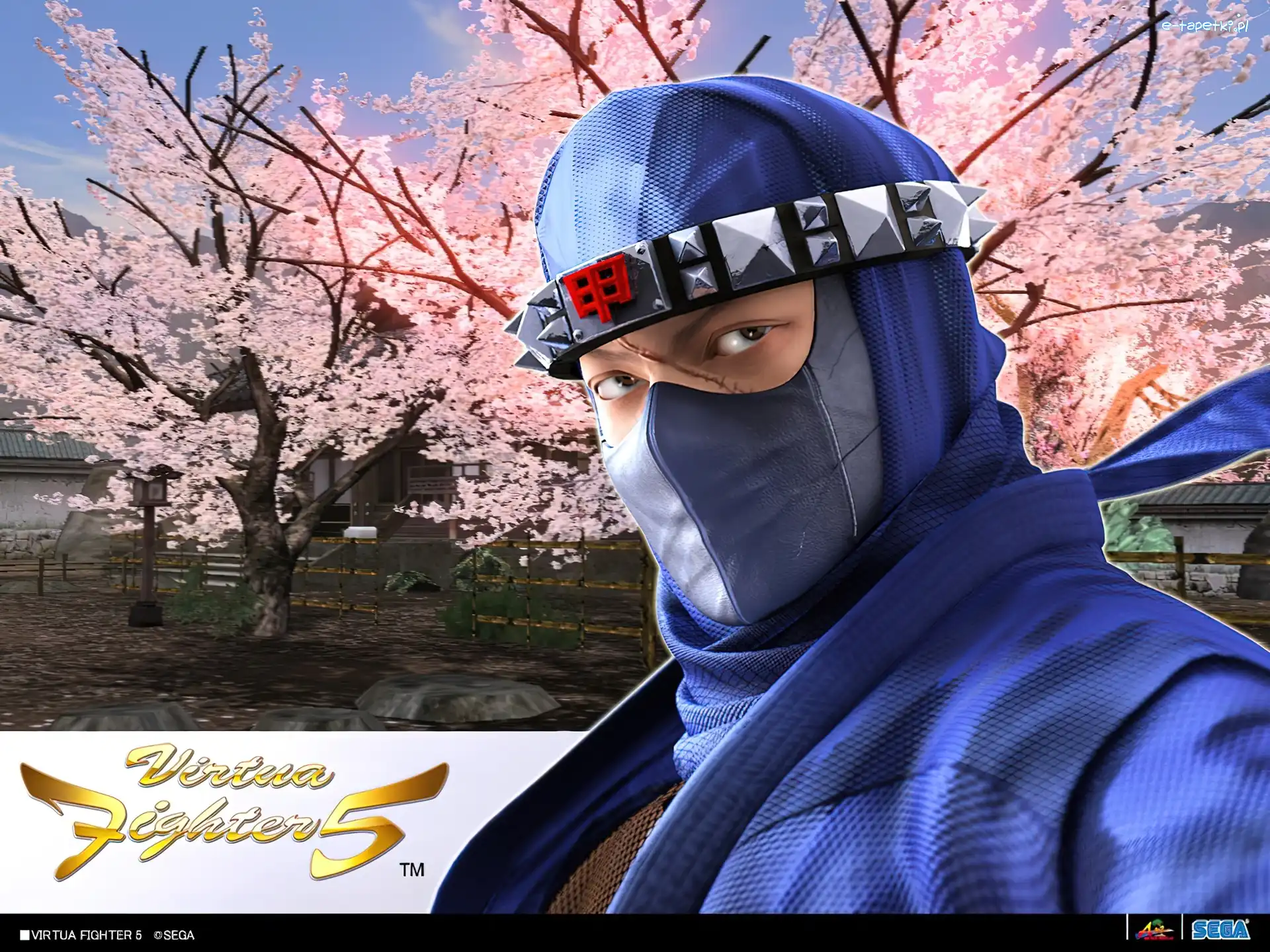 Kage Maru, Virtua Fighter 5