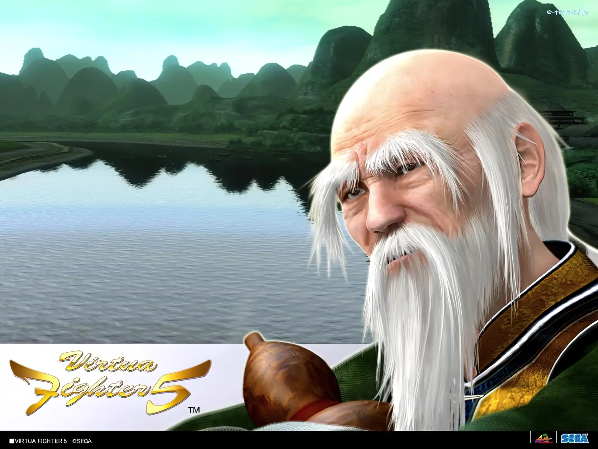 Shun Di, Virtua Fighter 5