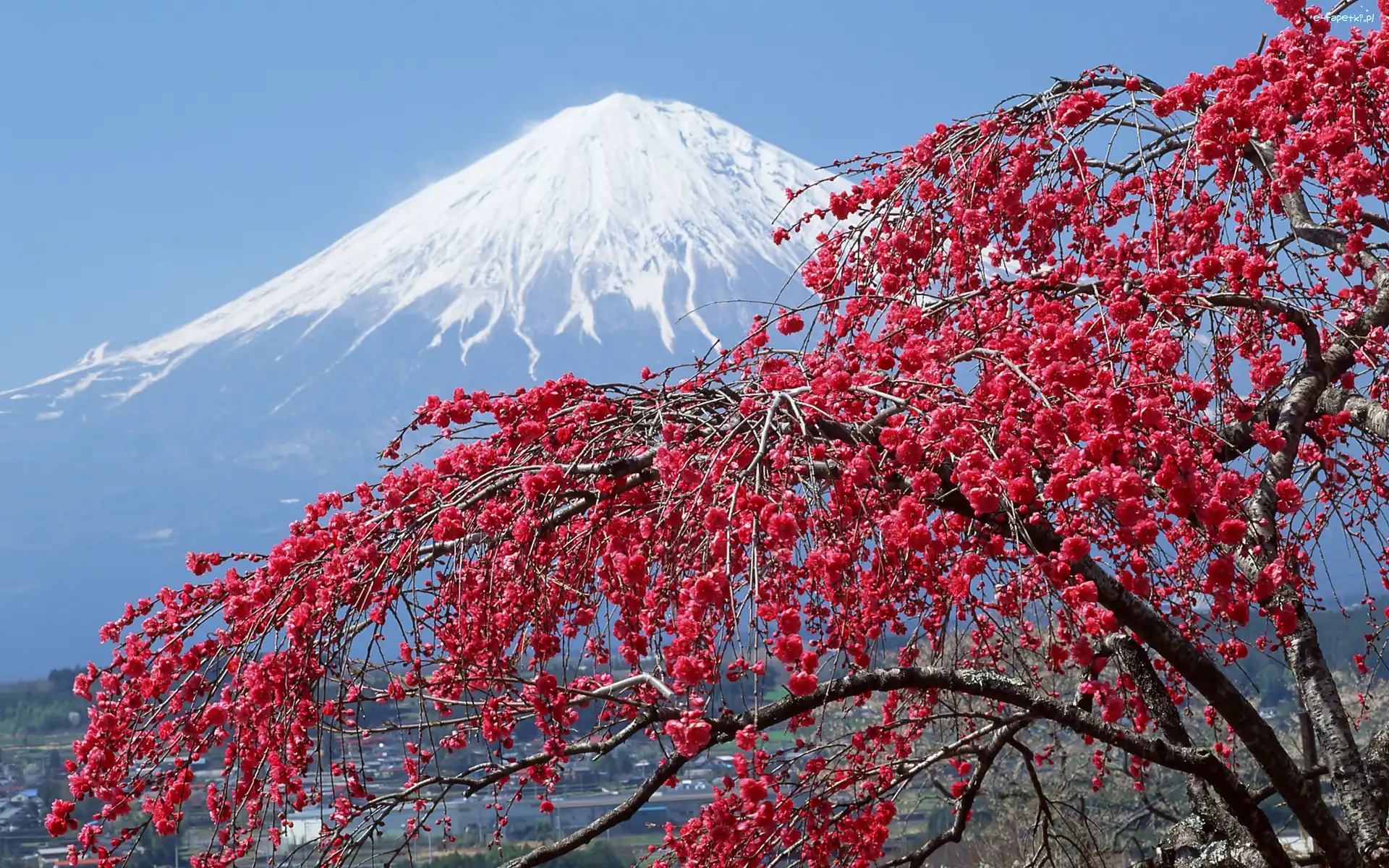 Japonia, Fuji