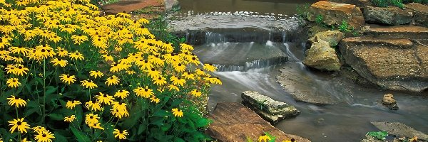 Kwiaty, Kirtland, Ohio, Arboretum, Holden