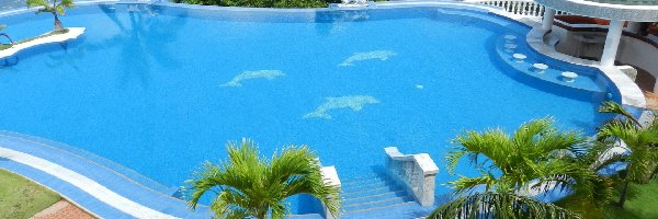 Palmy, Basen, Hotel