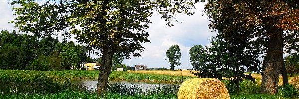 Snopek, Pole, Lato