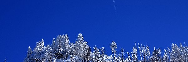 Zima, Las, Wzgórze, Samolot, Lecący