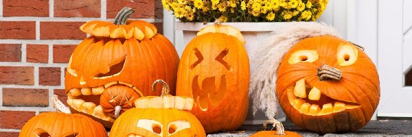 Halloween, Kwiatki, Dynie