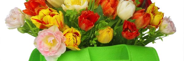 Torba, Tulipany, Kolorowe, Zielona