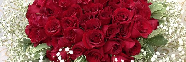 Róż, Czerwonych, Bukiet