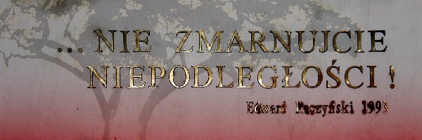 Patriotyzm, Napis, Nie Zmarnujcie Niepodległości