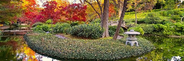 Ogród, Jesień, Staw, Japoński