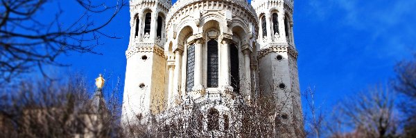 Notre Dame, Francja, Paryż, Katedra