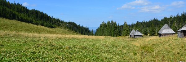 Bacówka, Zakopane, Łąka