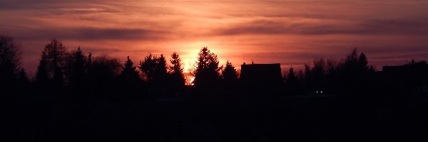 Jezioro, Drzewa, Domy, Lód, Słońca, Zachód
