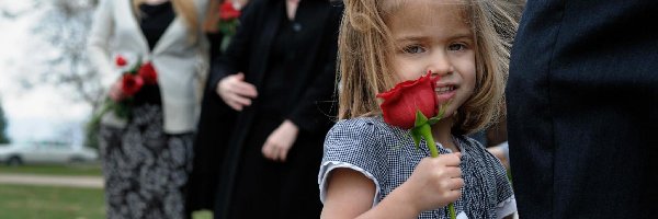 Dziecko, Róża, Dziewczynka, Ludzie
