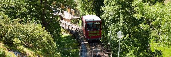 Skansen, Górska, Kolejka, Sztokholm