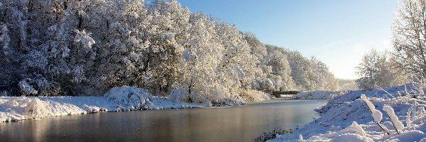 Drzewa, Rzeka, Śnieg