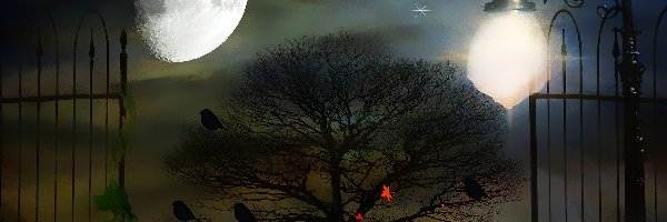 Obraz, Drzewo, Brama, Księżyc, Liście