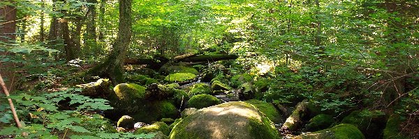 Nowy York, Adirondack, Kamienie