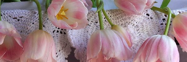 Kompozycja, Tulipany, Różowe