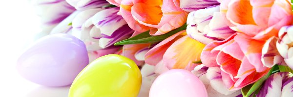 Jajeczka, Wielkanocne, Tulipany