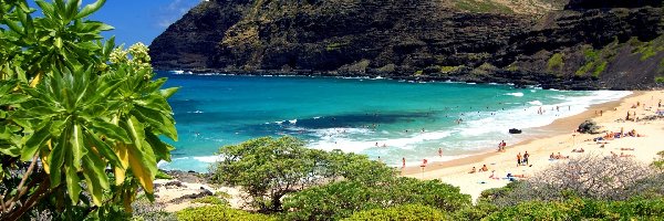 Oahu, Plaża, Roślinność, Hawaje, Morze, Góry