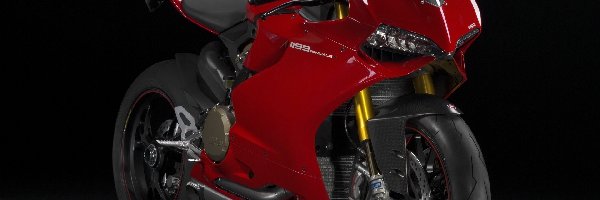 Ducati 1199 Paginale