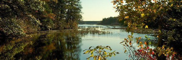 Cień, Jezioro, Światło, Odbicie, Las, Jesień