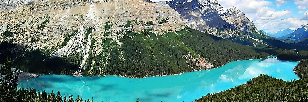 Park Narodowy Banff, Jezioro Peyto Lake, Góry Canadian Rockies, Kanada