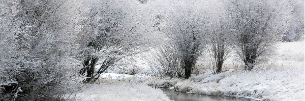 Rzeka, Szron, Drzewa, Zima