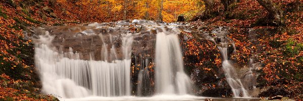 Las, Liście, Wodospad, Jesień