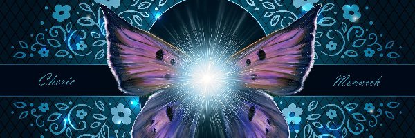 Grafika, Motyl