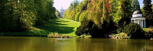 Park, Drzewa, Rzeka