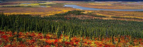 Alaska, Jeziora, Góry, Łąki, Lasy