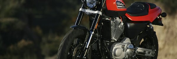 Harley Davidson XR1200