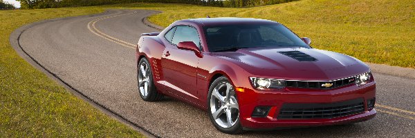 Chevrolet, Droga, Czerwony, Camaro SS, Łąka, Las