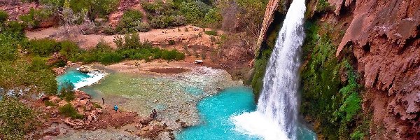 Roślinność, Potok, Skały, Arizona, Havasu, Wodospad
