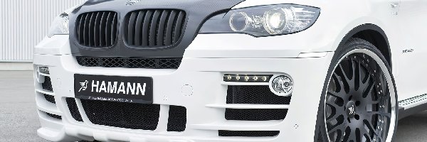 Hamann, X6