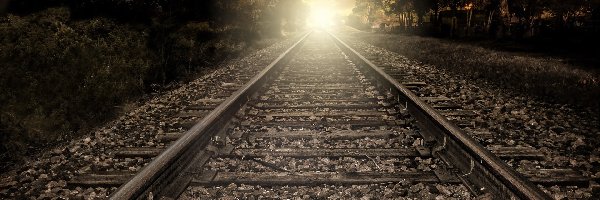 Słońca, Tory, Drzewa, Zachód