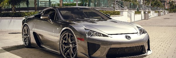 LFA, Palmy, Budynki, Lexus