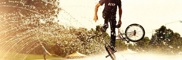 Freestyle, Bmx