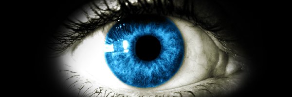 Oko, Niebieskie