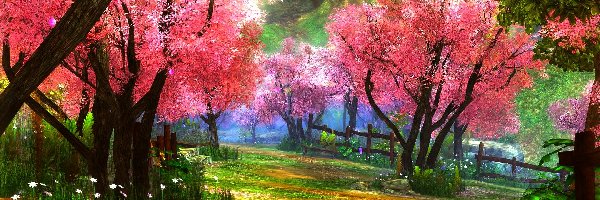 Drzewa, Kwitnące, Ogród