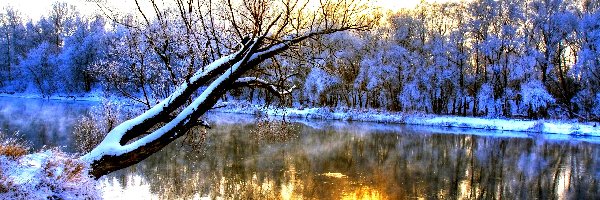 Śnieg, Jezioro, Drzewa