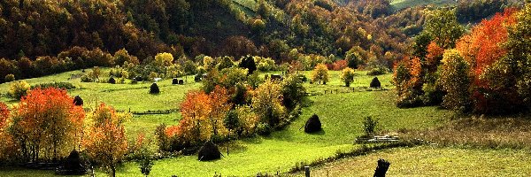 Góry, Pola, Lasy, Jesień, Łąki