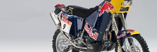 Red Bull, Team, KTM 660 Adventure