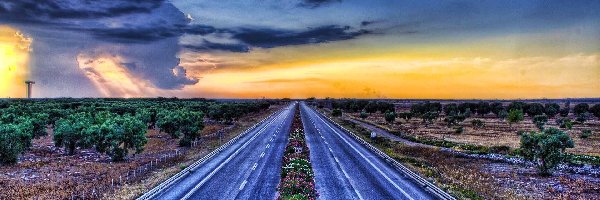 Kwiaty, Niebo, Zachmurzone, Autostrada