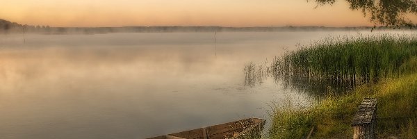 Łódz, Szuwary, Mgła, Jezioro