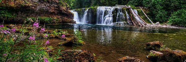 Las, Wodospad Lower Lewis River Falls, Stany Zjednoczone, Stan Waszyngton, Skały, Drzewa, Osada Cougar, Rzeka