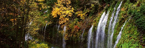 Mossbrae Falls Kalifornia, Wodospad, Las