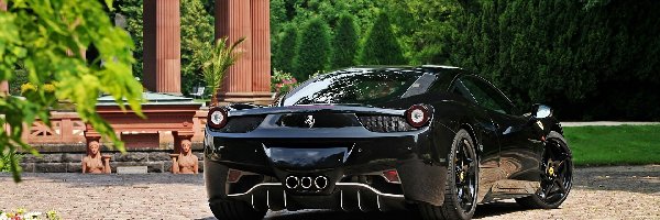 Lato, Czarne, Park, Sport, Ferrari 458