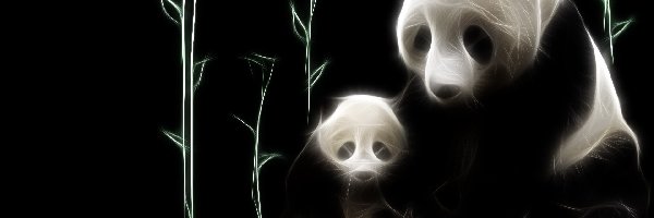 Fractalius, Panda, Misie