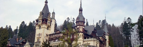 Drzewa, Pałac Peles, Sinaia